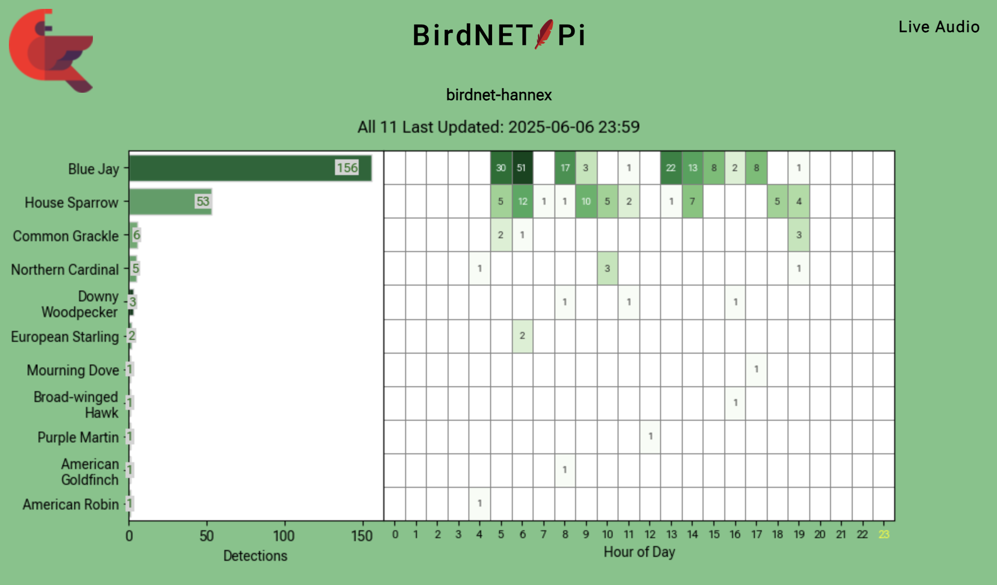 Screenshot of bird detection bar chart from June 6
