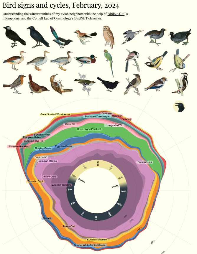 Screenshot of radial visualization of bird detections.