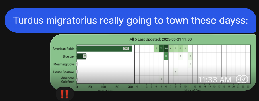 Screenshot of text message accompanying photo of birdnet plot: 'Turdus migratorius really going to town these dayss'