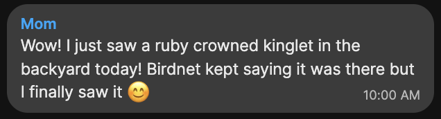 Screenshot of message from 'Mom': Wow! I just saw a ruby crowned kinglet in the backyard today! Birdnet kept saying it was there but I finally saw it :)