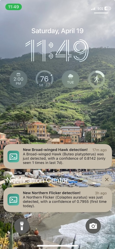 Screenshot of phone lock screen with notifications about newly-detected hawk and flicker calls