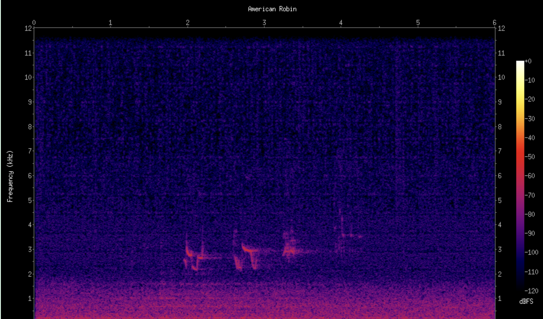 Spectrogram of detection recording