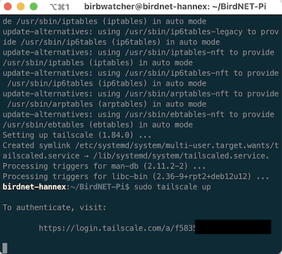 Screenshot of tailscale installation