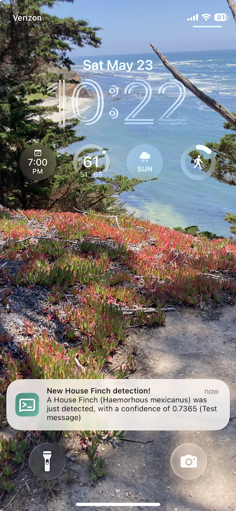 Screenshot of phone lock screen with notification that a House Finch has been detected