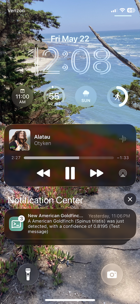 Screenshot from phone showing a notification for the test bird