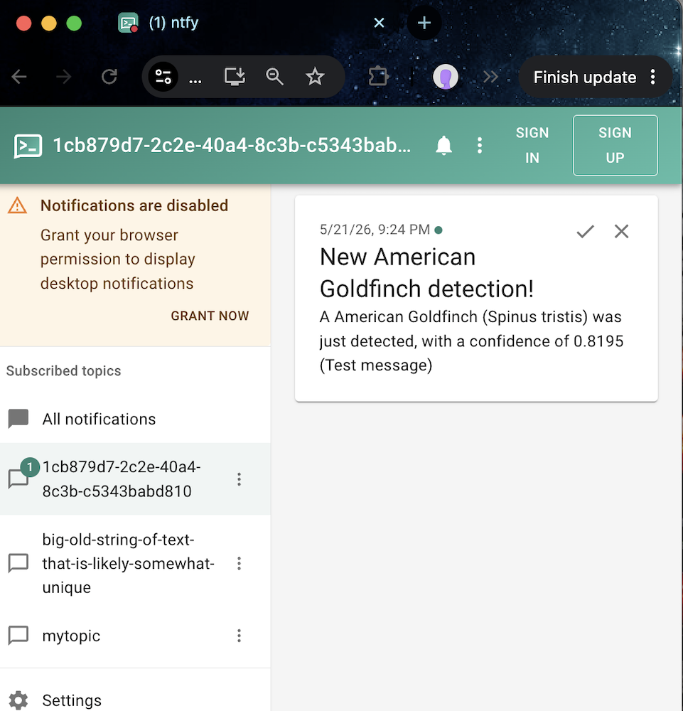Screenshot of ntfy webapp with new message visible