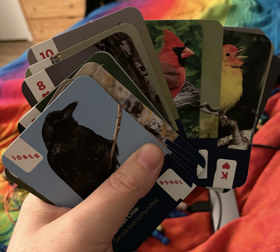 Photo of card deck, joker crow card visible
