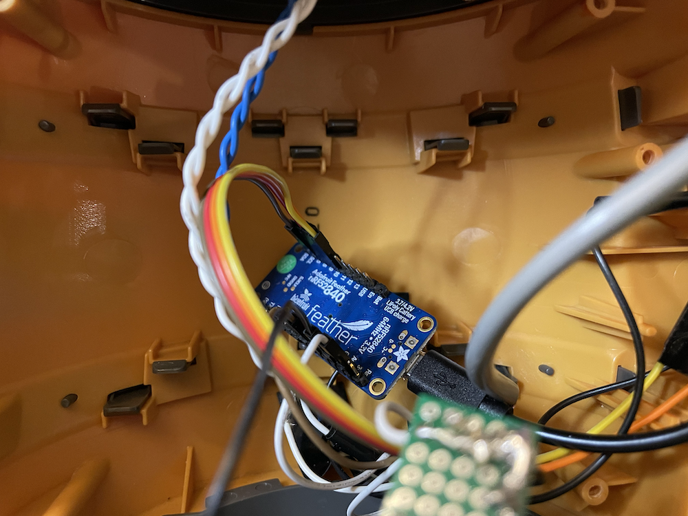 Close-up photo of the Feather